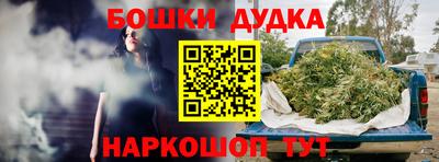 индика Краснознаменск