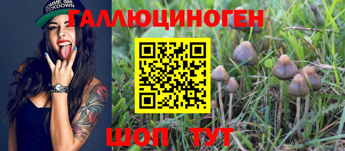 Псилоцибиновые грибы GOLDEN TEACHER  Вход с VPN  Ирбит 